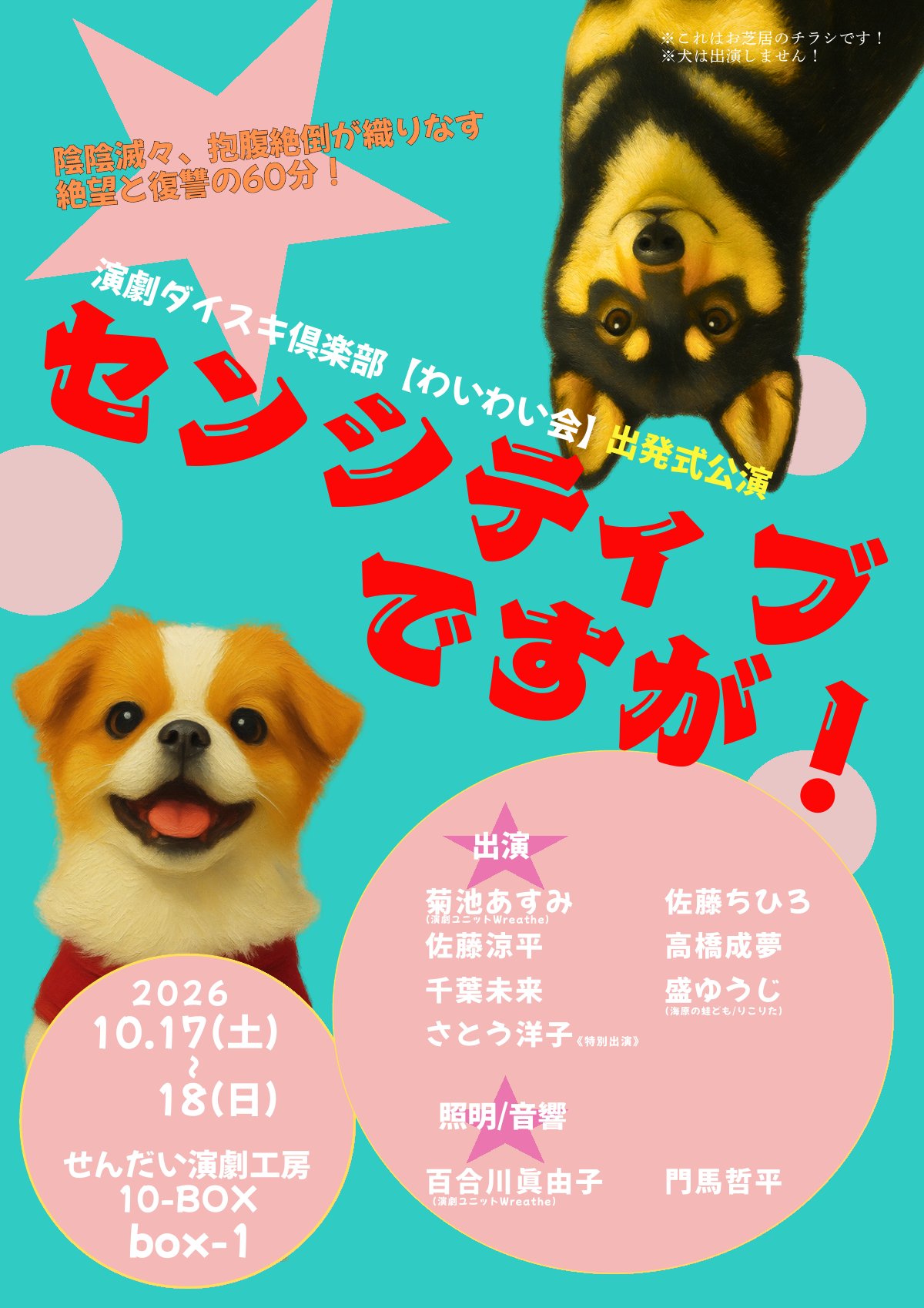 チラシ表面:ターコイズの背景に赤い文字で「センシティブですが！」、笑顔のペキニーズと逆さまの黒柴